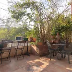 Calm & Charming 1br With Shared Lush Garden Access Διαμέρισμα