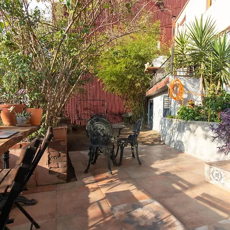 Apartamento Calm & Charming 1br With Shared Lush Garden Access *