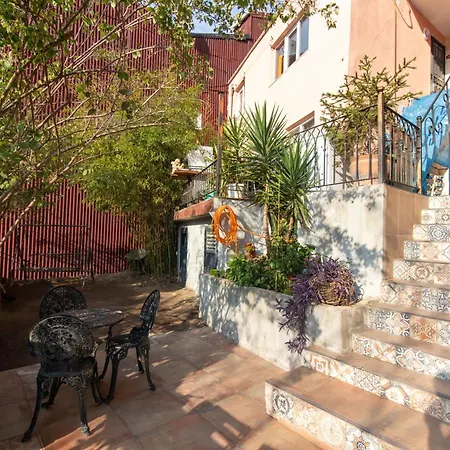 Calm & Charming 1br With Shared Lush Garden Access Estambul