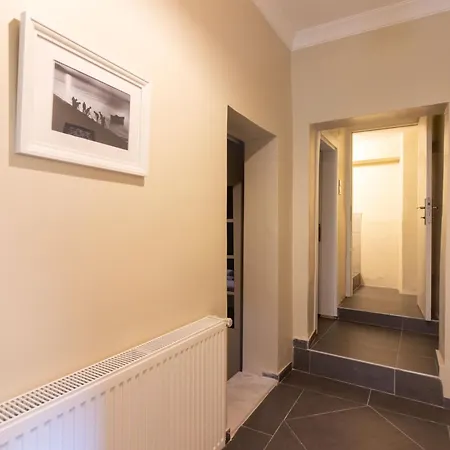 Calm & Charming 1br With Shared Lush Garden Access 公寓 伊斯坦布尔